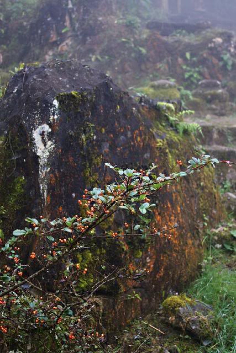 Lần đầu tiên đến Sapa