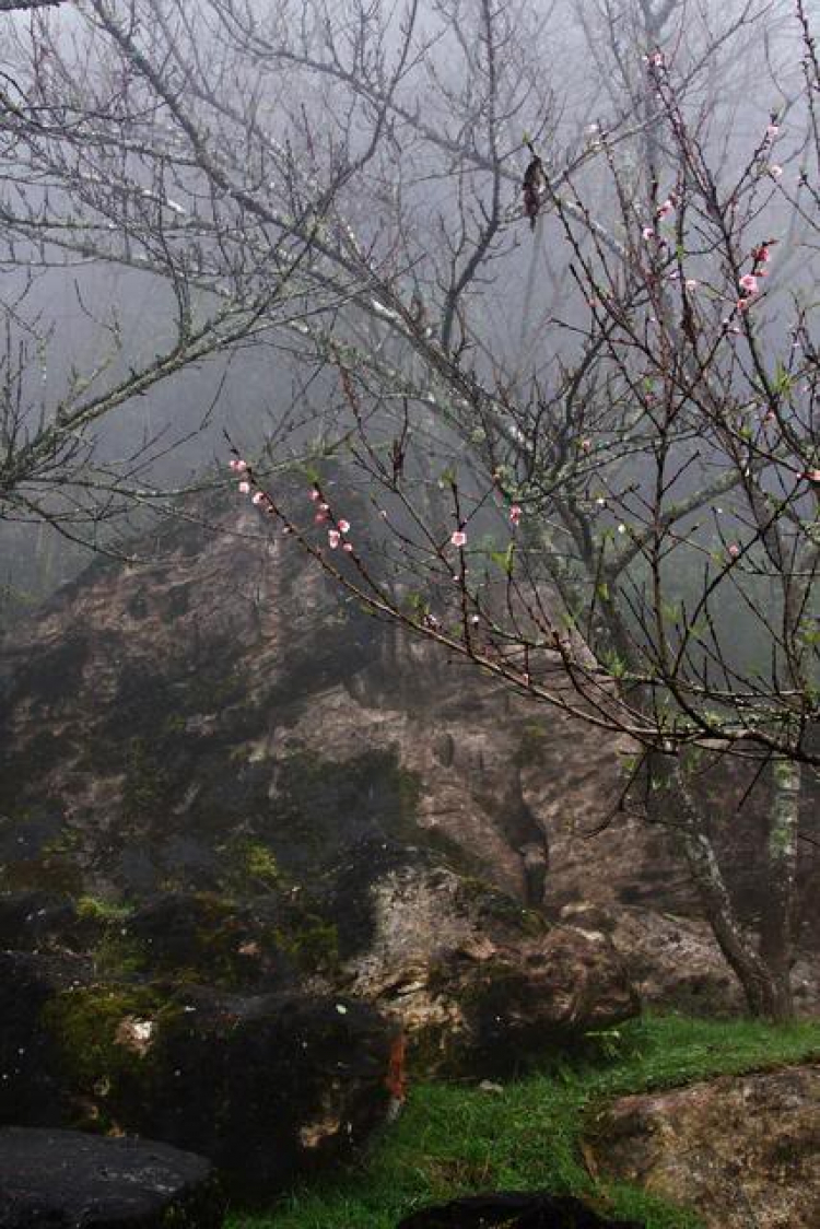 Lần đầu tiên đến Sapa