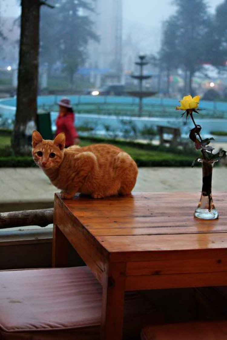 Lần đầu tiên đến Sapa Lần đầu tiên đến Sapa