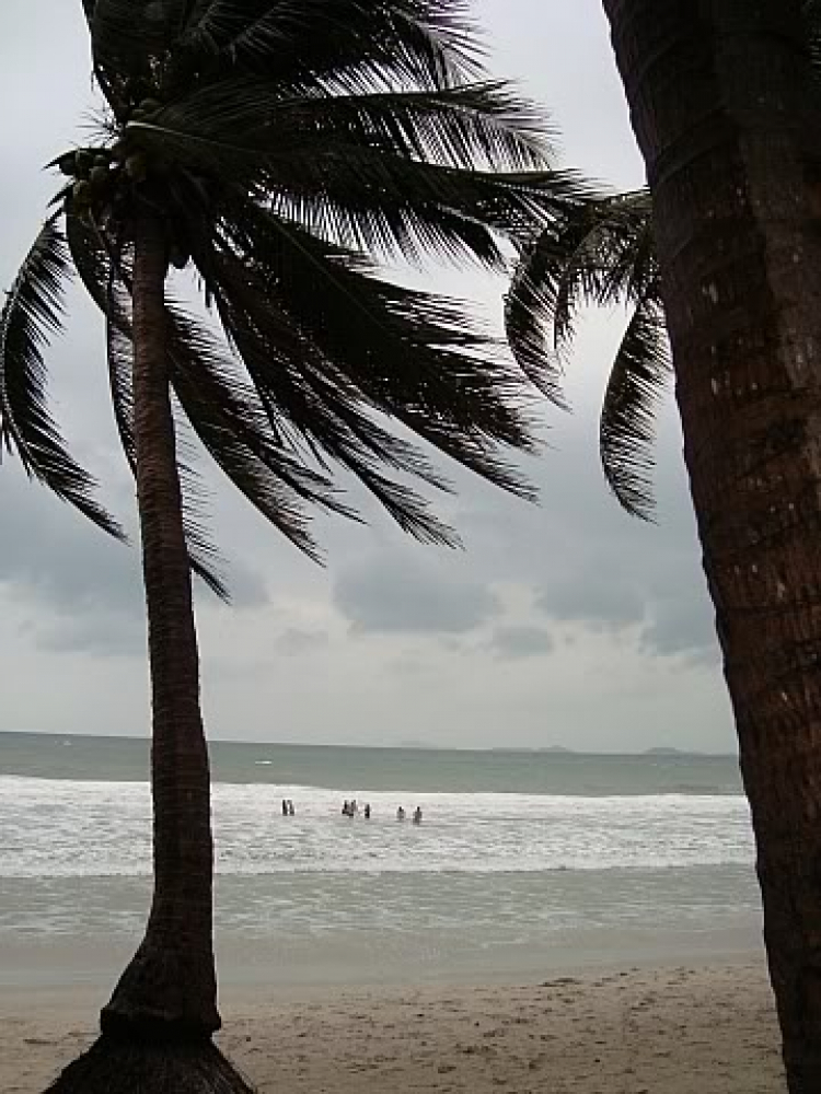 “Nổi sóng Nha Trang” - cuộc hội ngộ đầu năm mới 2009