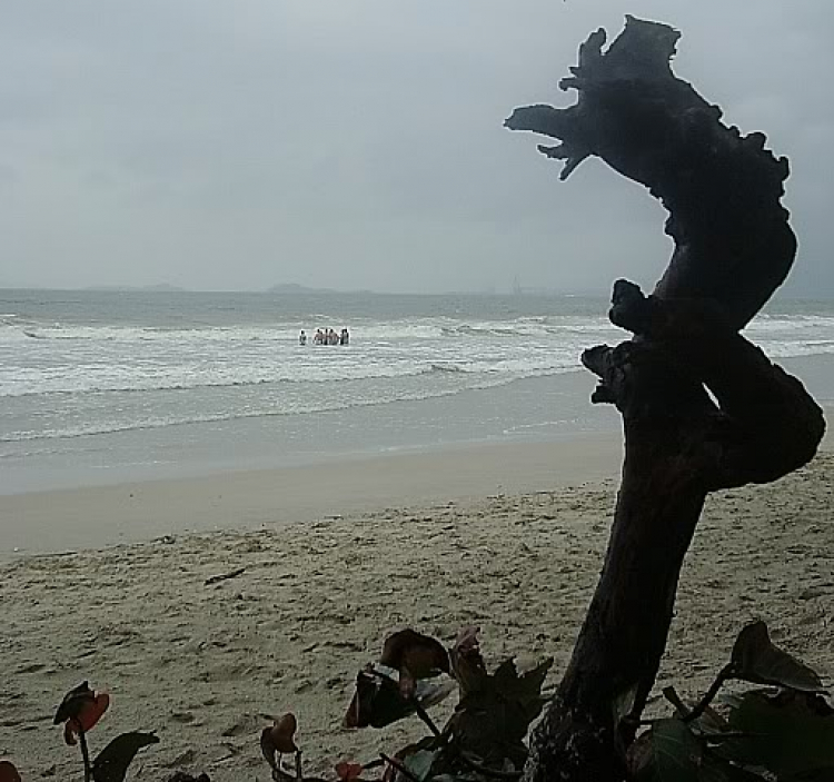 “Nổi sóng Nha Trang” - cuộc hội ngộ đầu năm mới 2009 “Nổi sóng Nha Trang” - cuộc hội ngộ đầu năm mới 2009