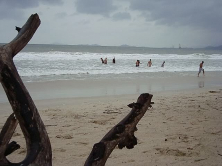 “Nổi sóng Nha Trang” - cuộc hội ngộ đầu năm mới 2009 “Nổi sóng Nha Trang” - cuộc hội ngộ đầu năm mới 2009