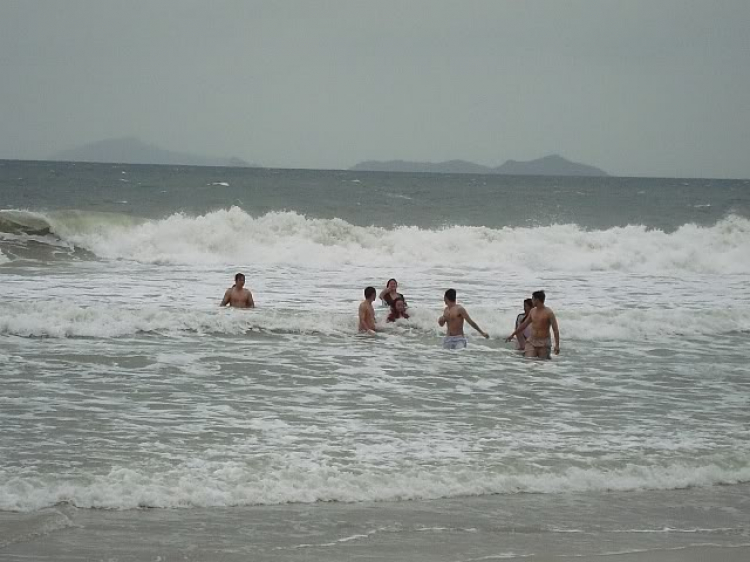 “Nổi sóng Nha Trang” - cuộc hội ngộ đầu năm mới 2009 “Nổi sóng Nha Trang” - cuộc hội ngộ đầu năm mới 2009