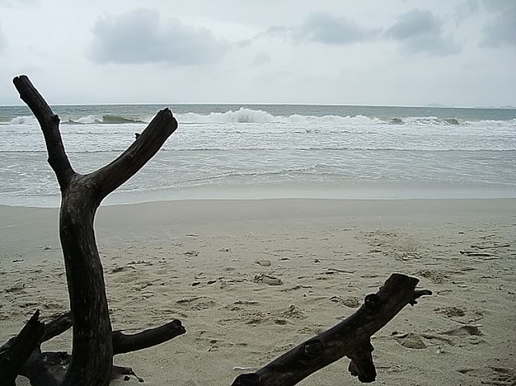 “Nổi sóng Nha Trang” - cuộc hội ngộ đầu năm mới 2009 “Nổi sóng Nha Trang” - cuộc hội ngộ đầu năm mới 2009