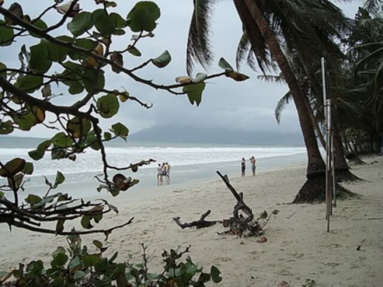 “Nổi sóng Nha Trang” - cuộc hội ngộ đầu năm mới 2009 “Nổi sóng Nha Trang” - cuộc hội ngộ đầu năm mới 2009