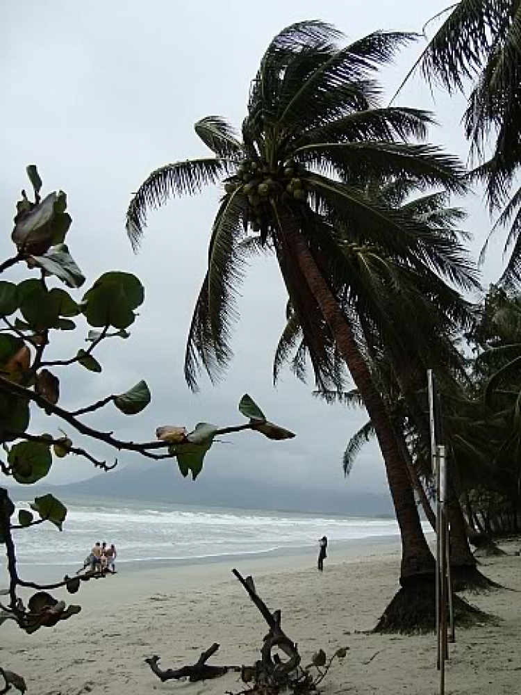 “Nổi sóng Nha Trang” - cuộc hội ngộ đầu năm mới 2009