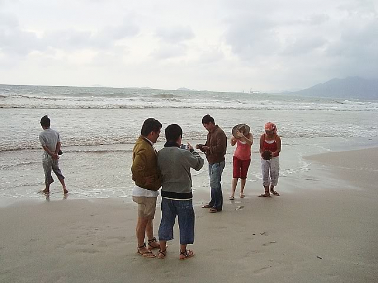 “Nổi sóng Nha Trang” - cuộc hội ngộ đầu năm mới 2009 “Nổi sóng Nha Trang” - cuộc hội ngộ đầu năm mới 2009