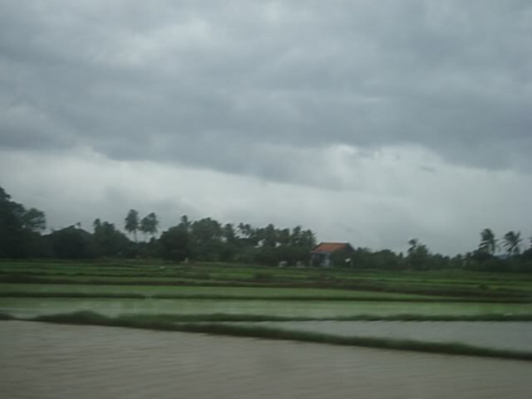 “Nổi sóng Nha Trang” - cuộc hội ngộ đầu năm mới 2009