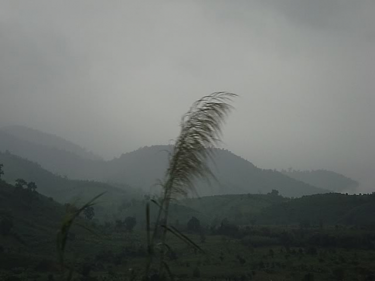 “Nổi sóng Nha Trang” - cuộc hội ngộ đầu năm mới 2009