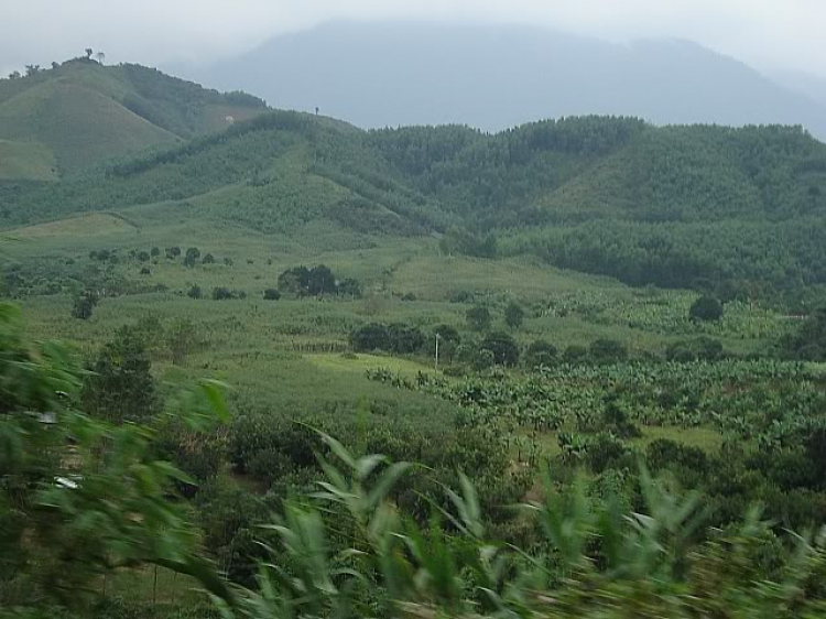 “Nổi sóng Nha Trang” - cuộc hội ngộ đầu năm mới 2009