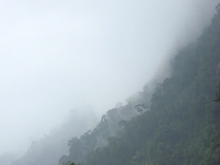 “Nổi sóng Nha Trang” - cuộc hội ngộ đầu năm mới 2009 “Nổi sóng Nha Trang” - cuộc hội ngộ đầu năm mới 2009