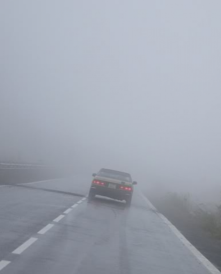 “Nổi sóng Nha Trang” - cuộc hội ngộ đầu năm mới 2009 “Nổi sóng Nha Trang” - cuộc hội ngộ đầu năm mới 2009