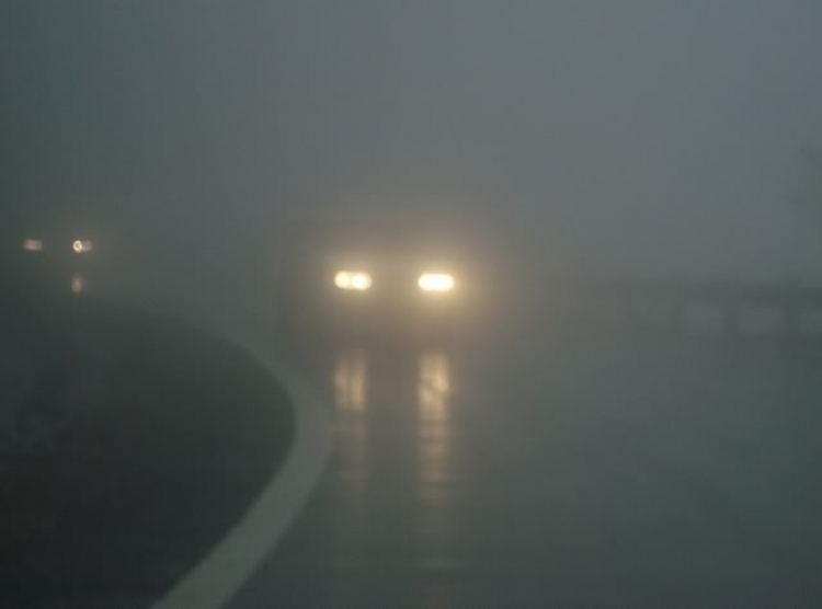 “Nổi sóng Nha Trang” - cuộc hội ngộ đầu năm mới 2009 “Nổi sóng Nha Trang” - cuộc hội ngộ đầu năm mới 2009