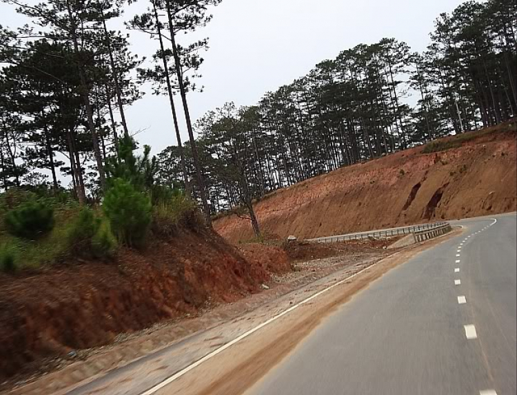 “Nổi sóng Nha Trang” - cuộc hội ngộ đầu năm mới 2009