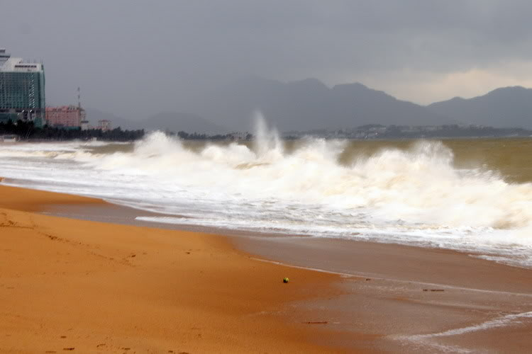 “Nổi sóng Nha Trang” - cuộc hội ngộ đầu năm mới 2009