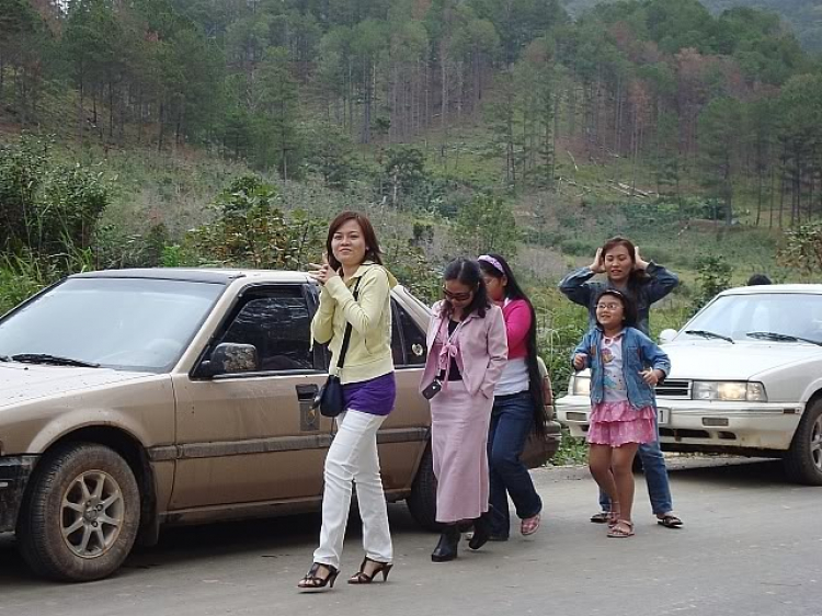 “Nổi sóng Nha Trang” - cuộc hội ngộ đầu năm mới 2009