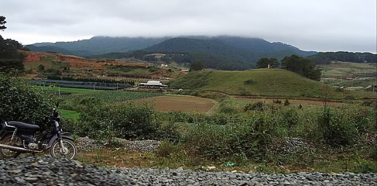 “Nổi sóng Nha Trang” - cuộc hội ngộ đầu năm mới 2009 “Nổi sóng Nha Trang” - cuộc hội ngộ đầu năm mới 2009
