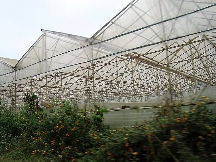 “Nổi sóng Nha Trang” - cuộc hội ngộ đầu năm mới 2009 “Nổi sóng Nha Trang” - cuộc hội ngộ đầu năm mới 2009