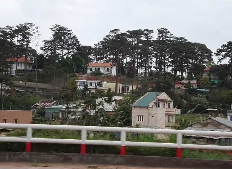 “Nổi sóng Nha Trang” - cuộc hội ngộ đầu năm mới 2009 “Nổi sóng Nha Trang” - cuộc hội ngộ đầu năm mới 2009