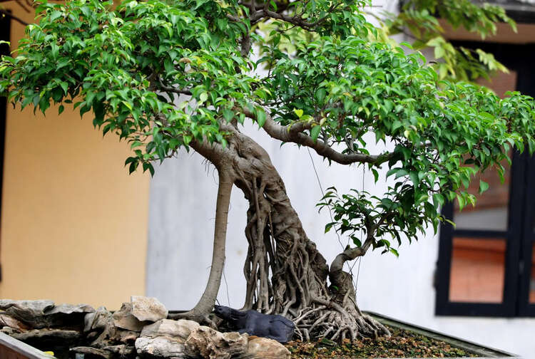 Chiều trên Bến Tầm Dương