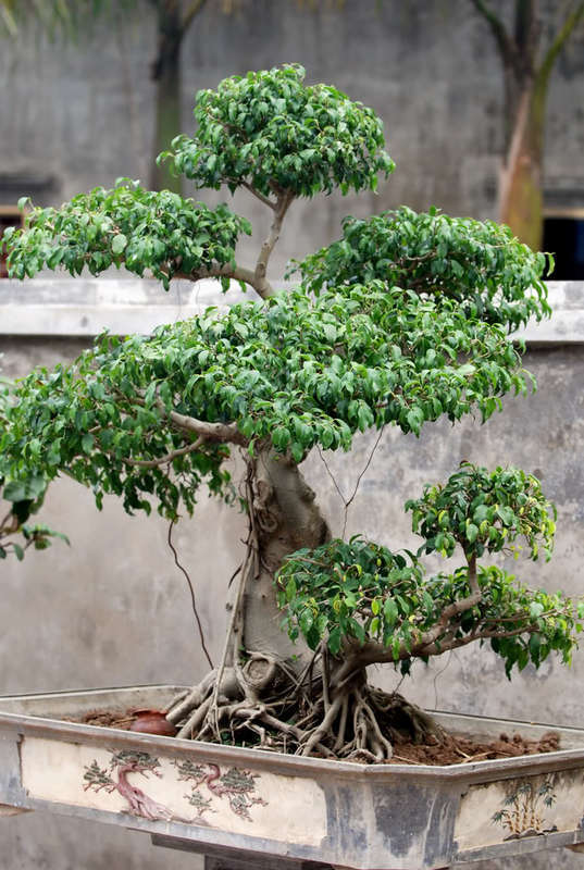 Chiều trên Bến Tầm Dương