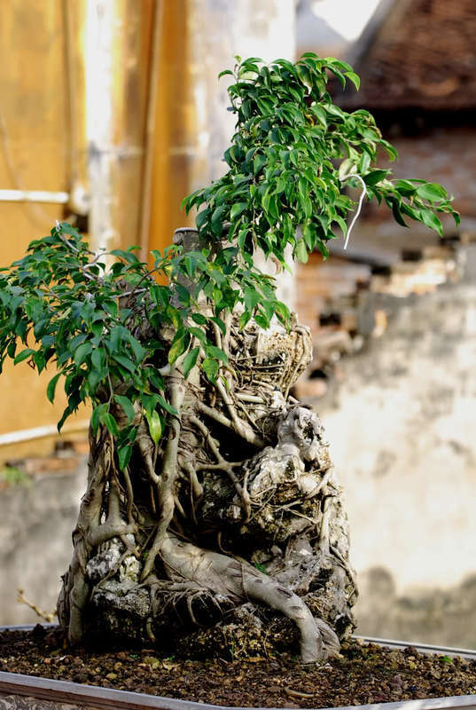 Chiều trên Bến Tầm Dương