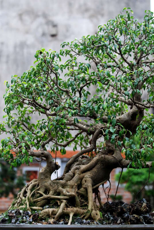 Chiều trên Bến Tầm Dương