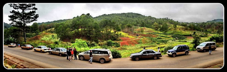 “Nổi sóng Nha Trang” - cuộc hội ngộ đầu năm mới 2009