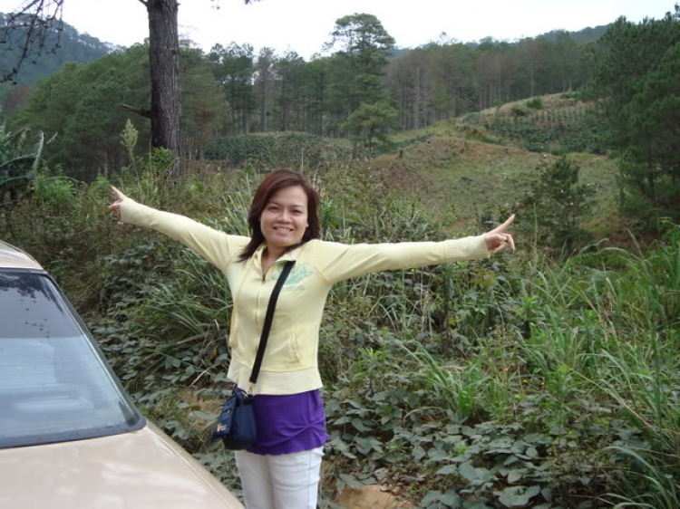 “Nổi sóng Nha Trang” - cuộc hội ngộ đầu năm mới 2009 “Nổi sóng Nha Trang” - cuộc hội ngộ đầu năm mới 2009