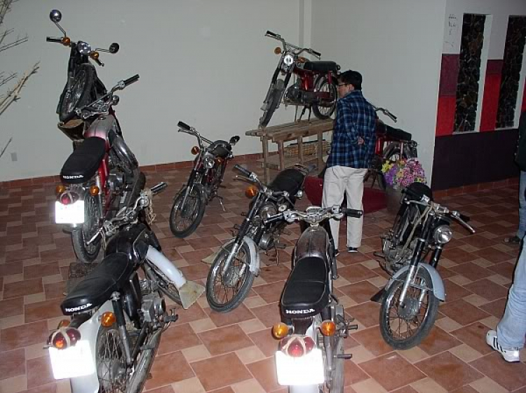 “Nổi sóng Nha Trang” - cuộc hội ngộ đầu năm mới 2009 “Nổi sóng Nha Trang” - cuộc hội ngộ đầu năm mới 2009
