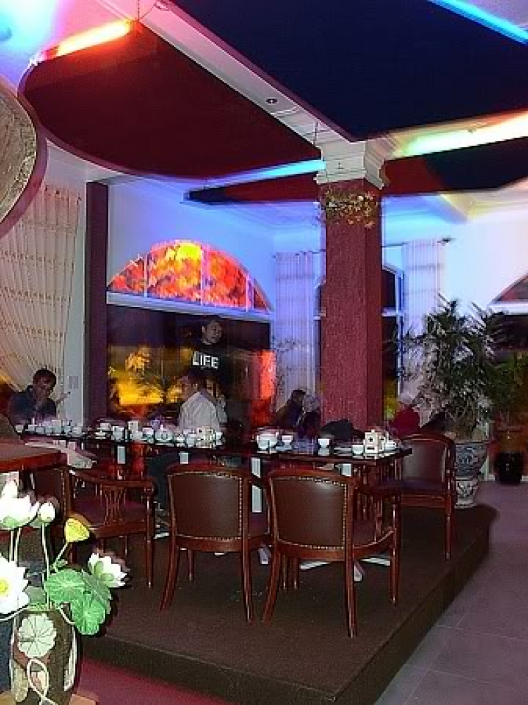 “Nổi sóng Nha Trang” - cuộc hội ngộ đầu năm mới 2009 “Nổi sóng Nha Trang” - cuộc hội ngộ đầu năm mới 2009