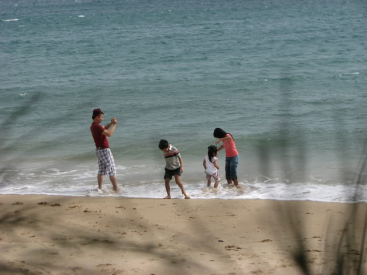 “Nổi sóng Nha Trang” - cuộc hội ngộ đầu năm mới 2009 “Nổi sóng Nha Trang” - cuộc hội ngộ đầu năm mới 2009