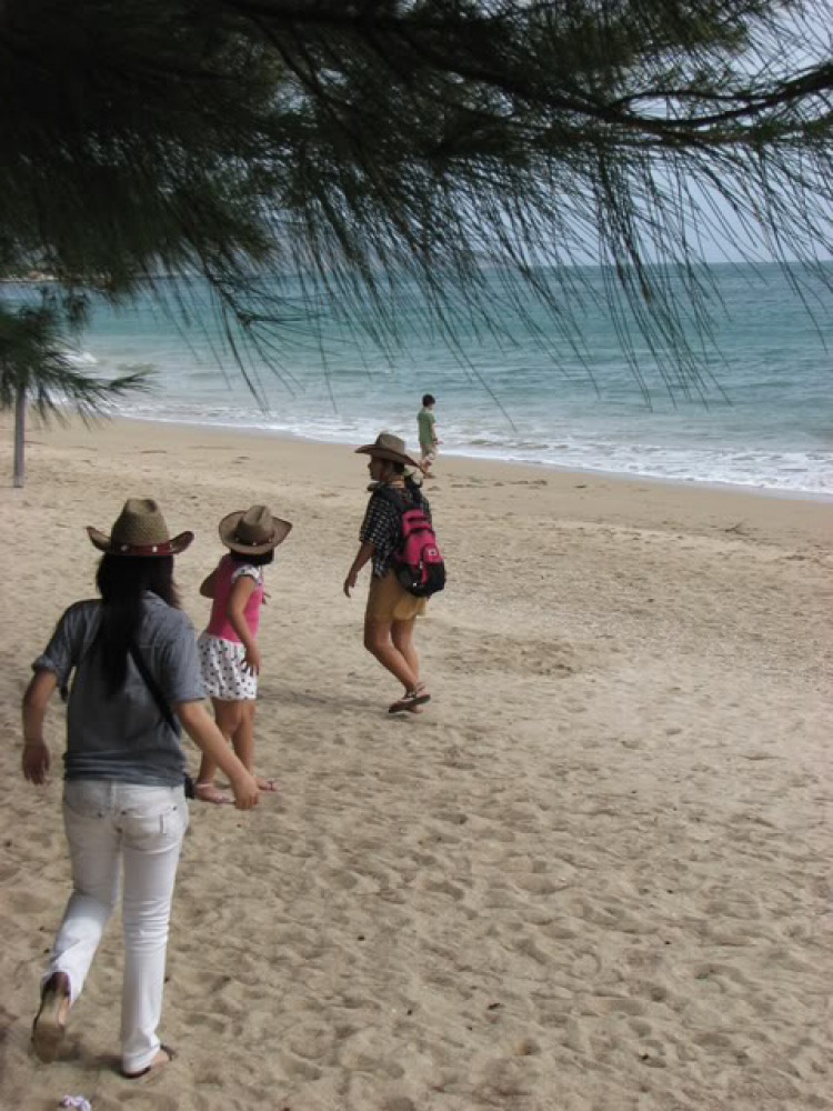 “Nổi sóng Nha Trang” - cuộc hội ngộ đầu năm mới 2009 “Nổi sóng Nha Trang” - cuộc hội ngộ đầu năm mới 2009