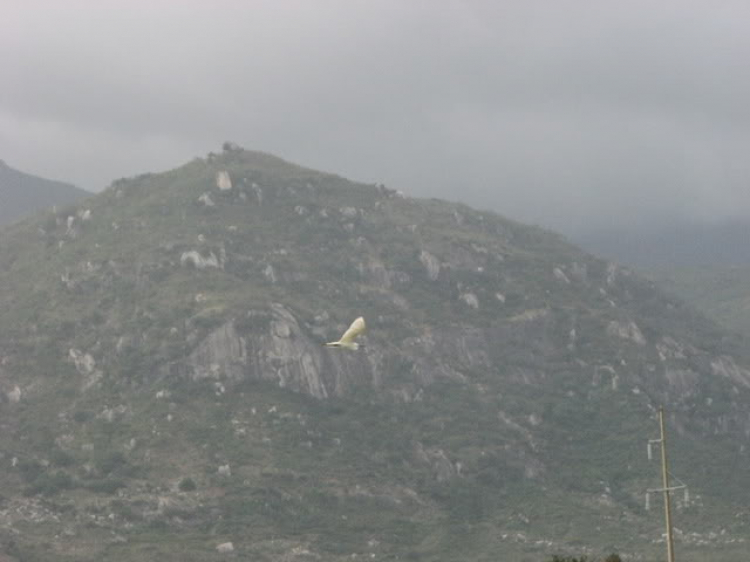 “Nổi sóng Nha Trang” - cuộc hội ngộ đầu năm mới 2009