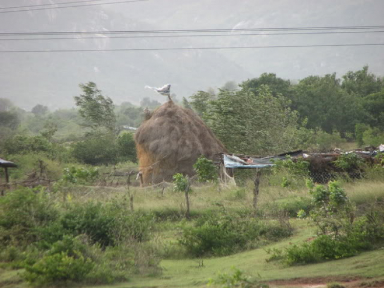 “Nổi sóng Nha Trang” - cuộc hội ngộ đầu năm mới 2009