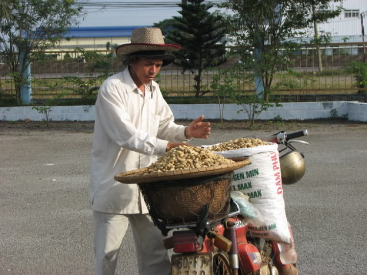 “Nổi sóng Nha Trang” - cuộc hội ngộ đầu năm mới 2009