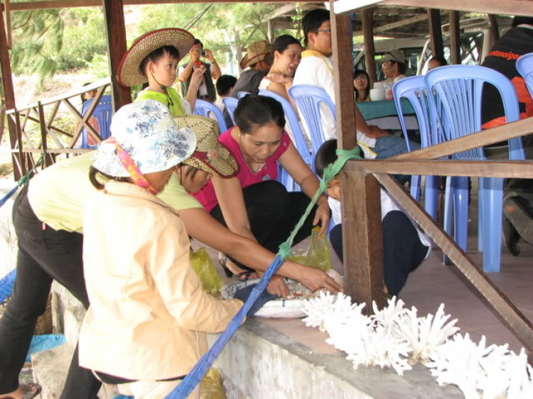 “Nổi sóng Nha Trang” - cuộc hội ngộ đầu năm mới 2009