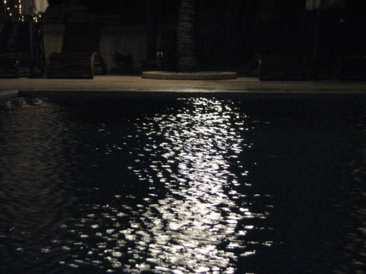 “Nổi sóng Nha Trang” - cuộc hội ngộ đầu năm mới 2009 “Nổi sóng Nha Trang” - cuộc hội ngộ đầu năm mới 2009