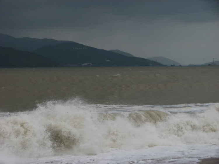 “Nổi sóng Nha Trang” - cuộc hội ngộ đầu năm mới 2009