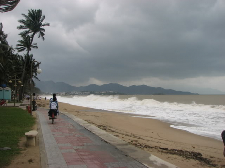 “Nổi sóng Nha Trang” - cuộc hội ngộ đầu năm mới 2009