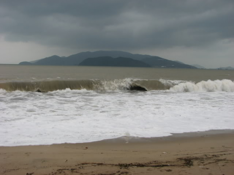 “Nổi sóng Nha Trang” - cuộc hội ngộ đầu năm mới 2009