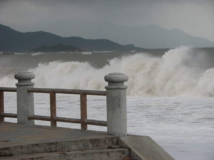 “Nổi sóng Nha Trang” - cuộc hội ngộ đầu năm mới 2009