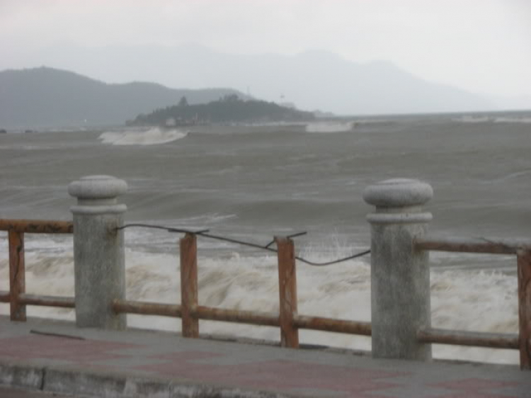 “Nổi sóng Nha Trang” - cuộc hội ngộ đầu năm mới 2009