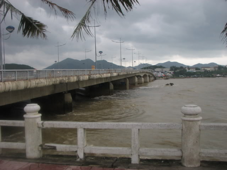 “Nổi sóng Nha Trang” - cuộc hội ngộ đầu năm mới 2009