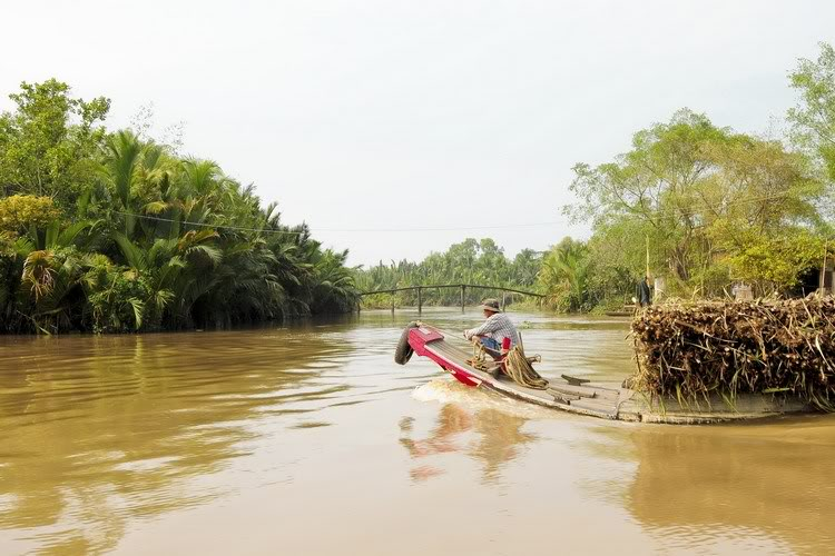 VỀ QUÊ.