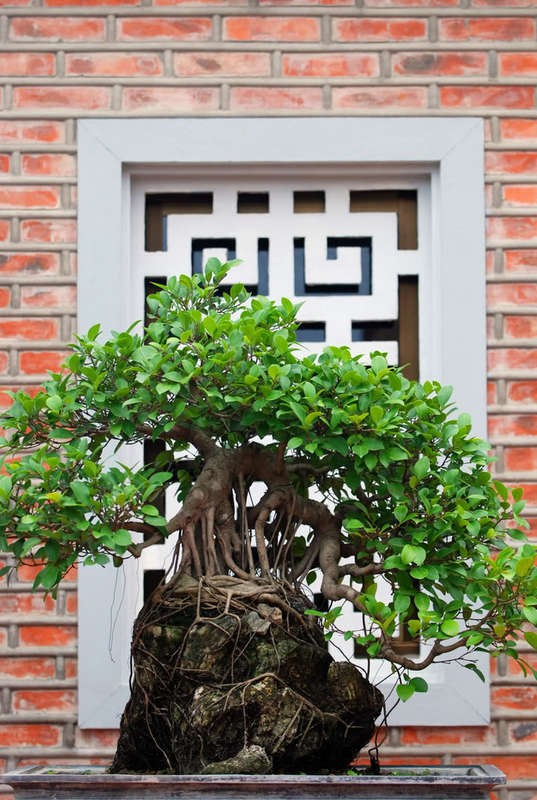 Chiều trên Bến Tầm Dương
