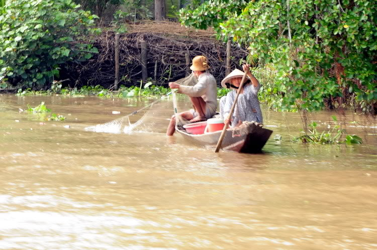 VỀ QUÊ.