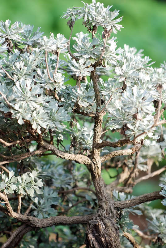 Chiều trên Bến Tầm Dương