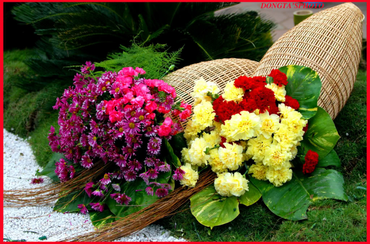Chớm Tết Chớm Tết