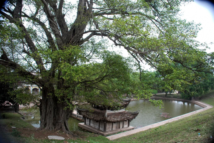 Chiều trên Bến Tầm Dương